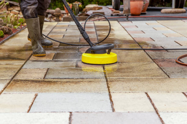 Animal Enclosure Cleaning in Millport, AL